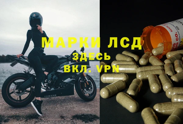 мдпв Белокуриха